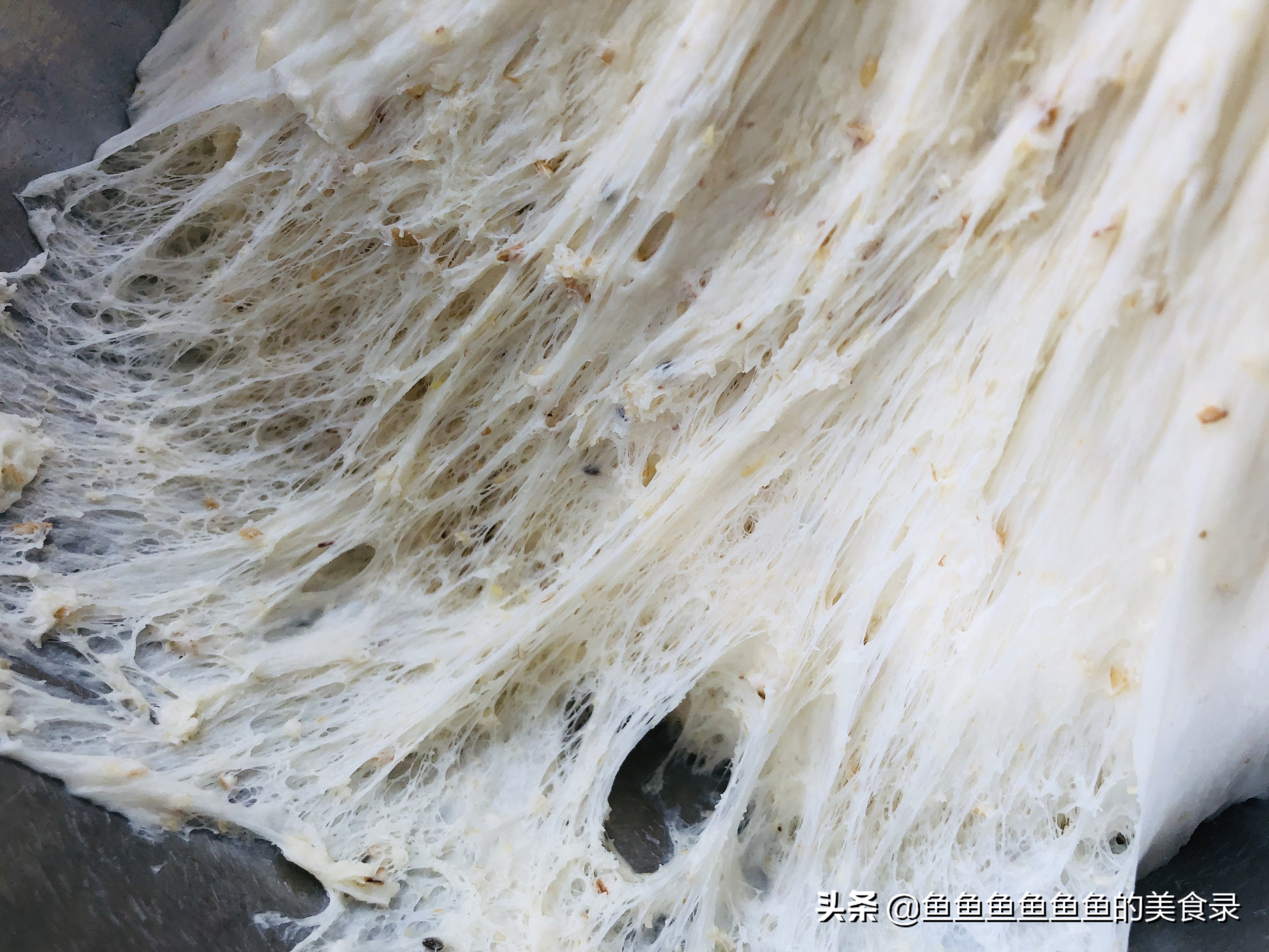 用烤箱烤面包揉面,不用揉面烤箱烤面包最简单做法