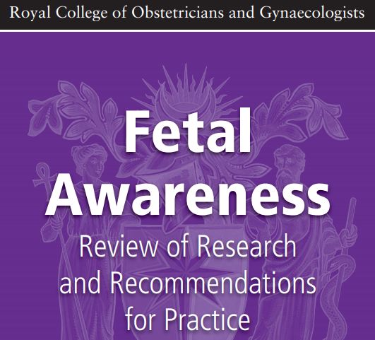 从Ladygaga到蕾哈娜，谁能忍心看到美国女性惨遭群体性强奸？