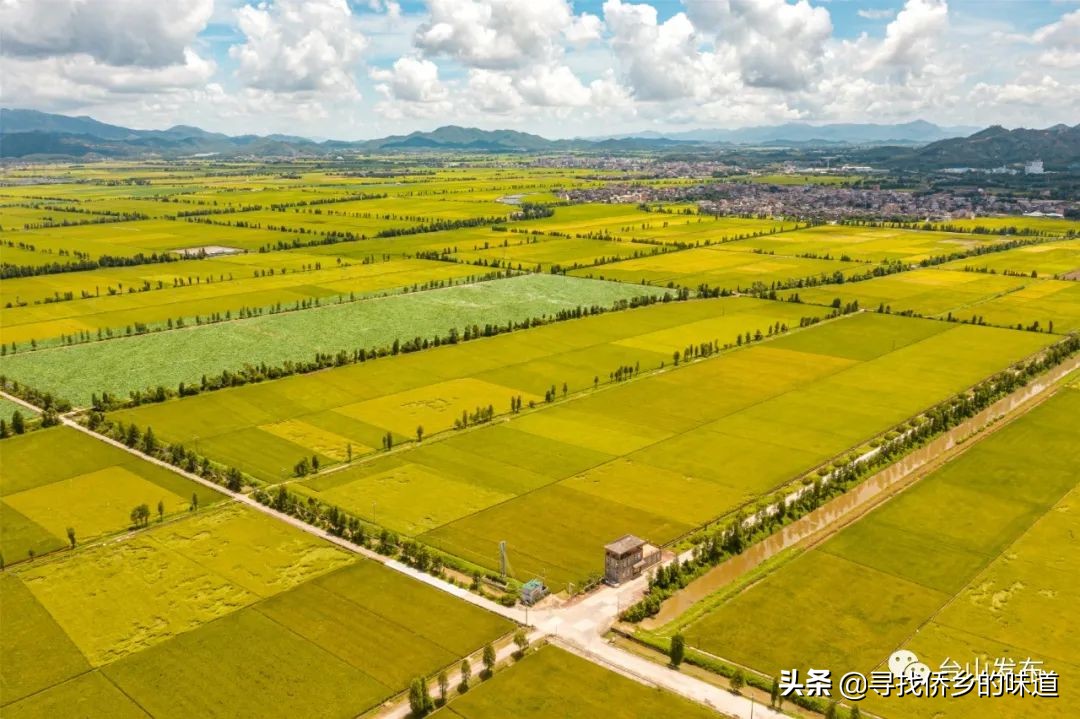 这个网红记录片，告诉你台山改革前不为人知的一面