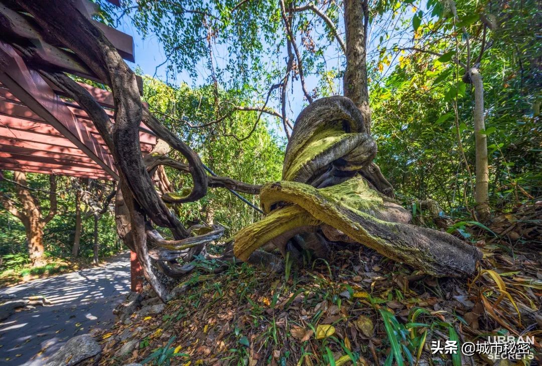 城隍山与吴山,有眼不识玉皇山