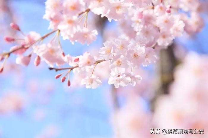 沾衣欲湿杏花雨古诗背诵,沾衣欲湿的古诗