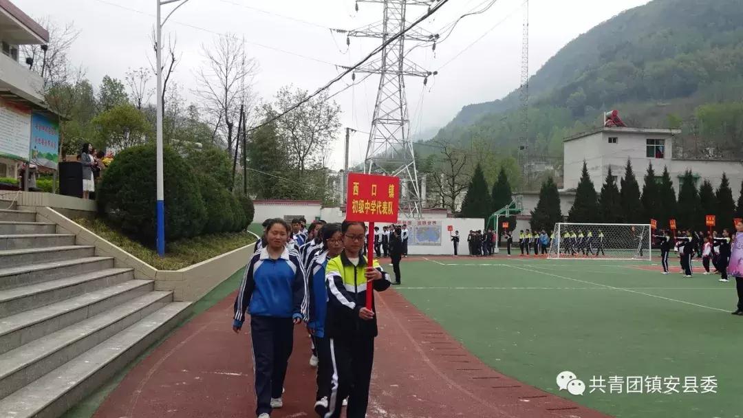 绿茵足球点亮梦想,绿茵点亮梦想足球场上现风采