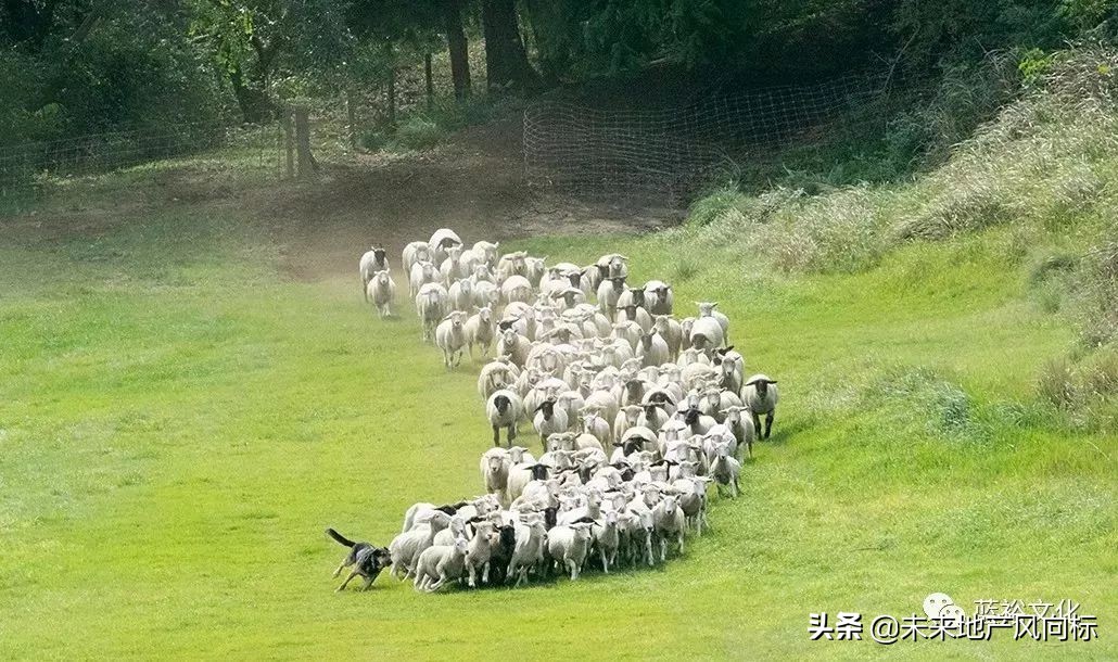 母亲牧场要玩多久,低成本花园家庭农场亲子乐园