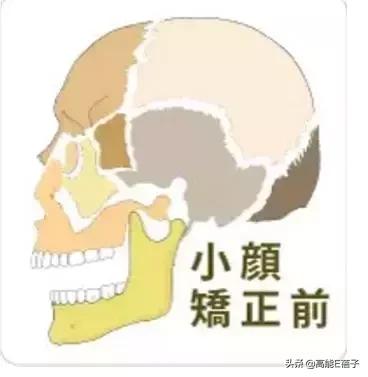 脸大真的不如脸小的好看吗,脸小真的显瘦吗