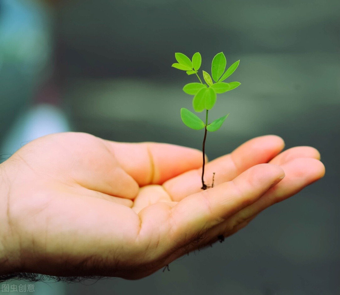 赵小明心理学视频全集,赵小明心理学怎么样