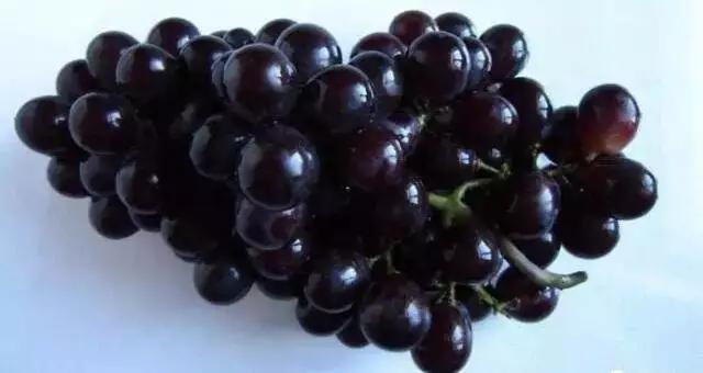 洗衣神器免洗去顽固污渍,洗衣神器去霉斑汗渍