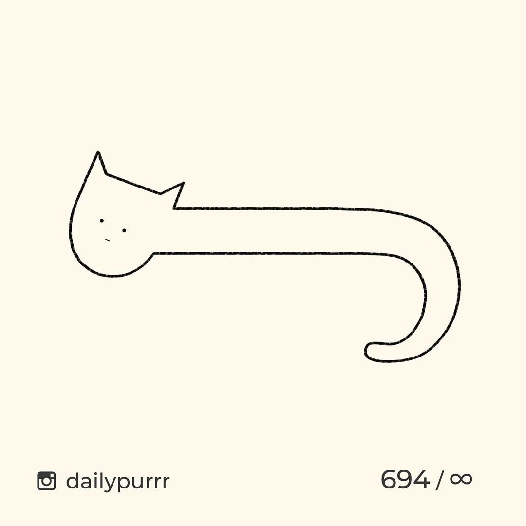 猫是一种液体吗看完长知识了,猫是液体猫咪吗