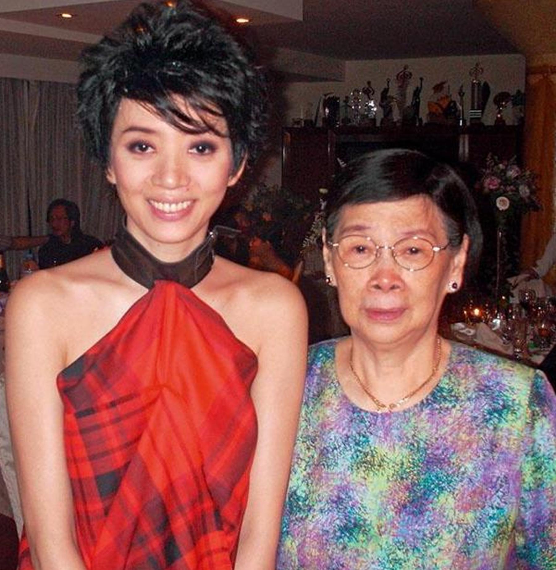 梅艳芳留下遗产给谁 (梅艳芳留下的遗产什么时候能用完)