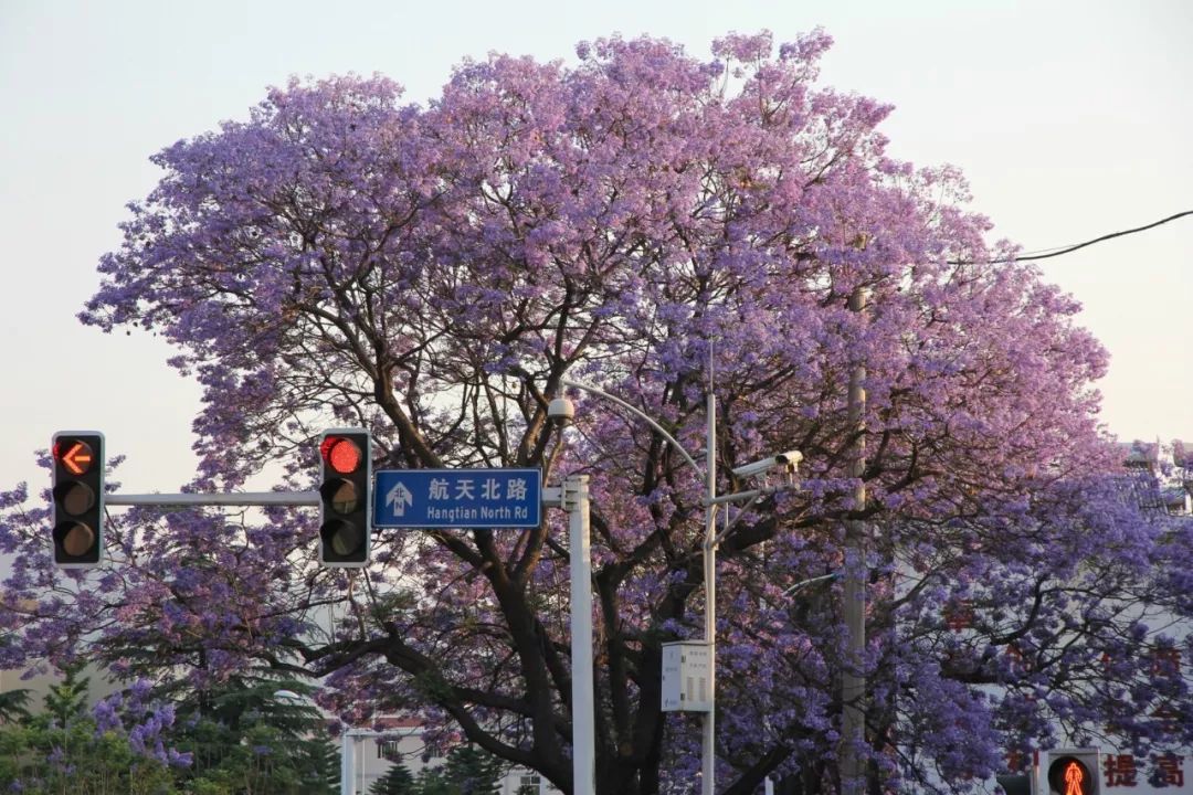 五一北京周边自驾游小众旅游地,2021五一亲子游推荐小众