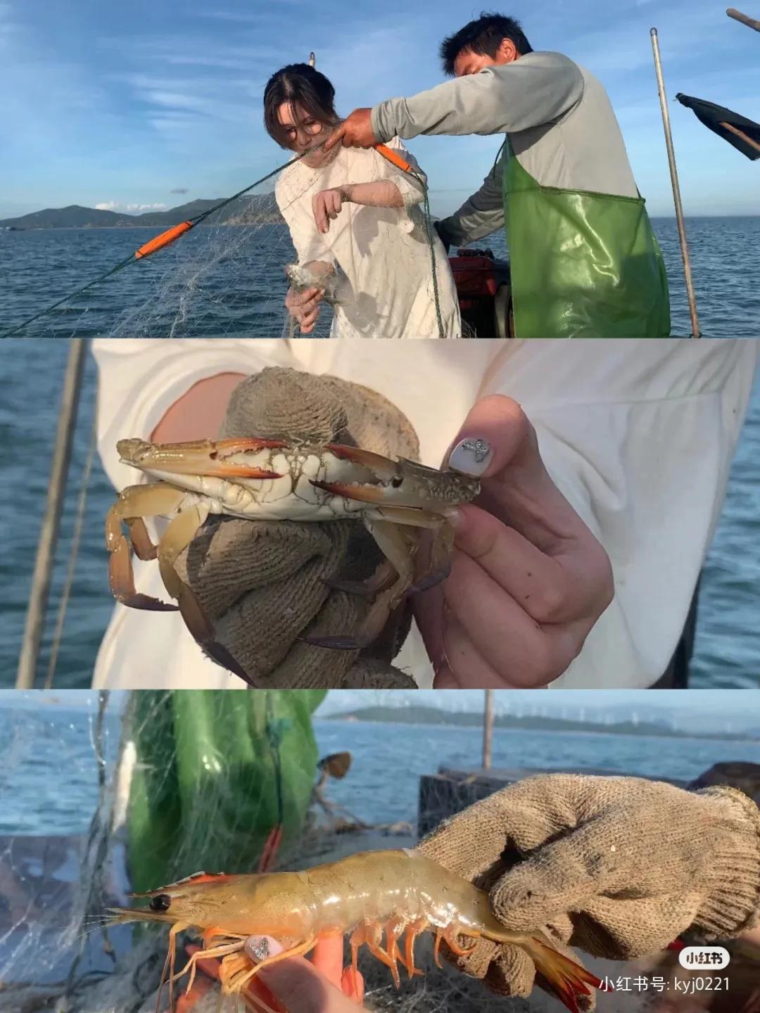 枸杞岛东方小希腊素材,被称东方小希腊风光无限的枸杞岛