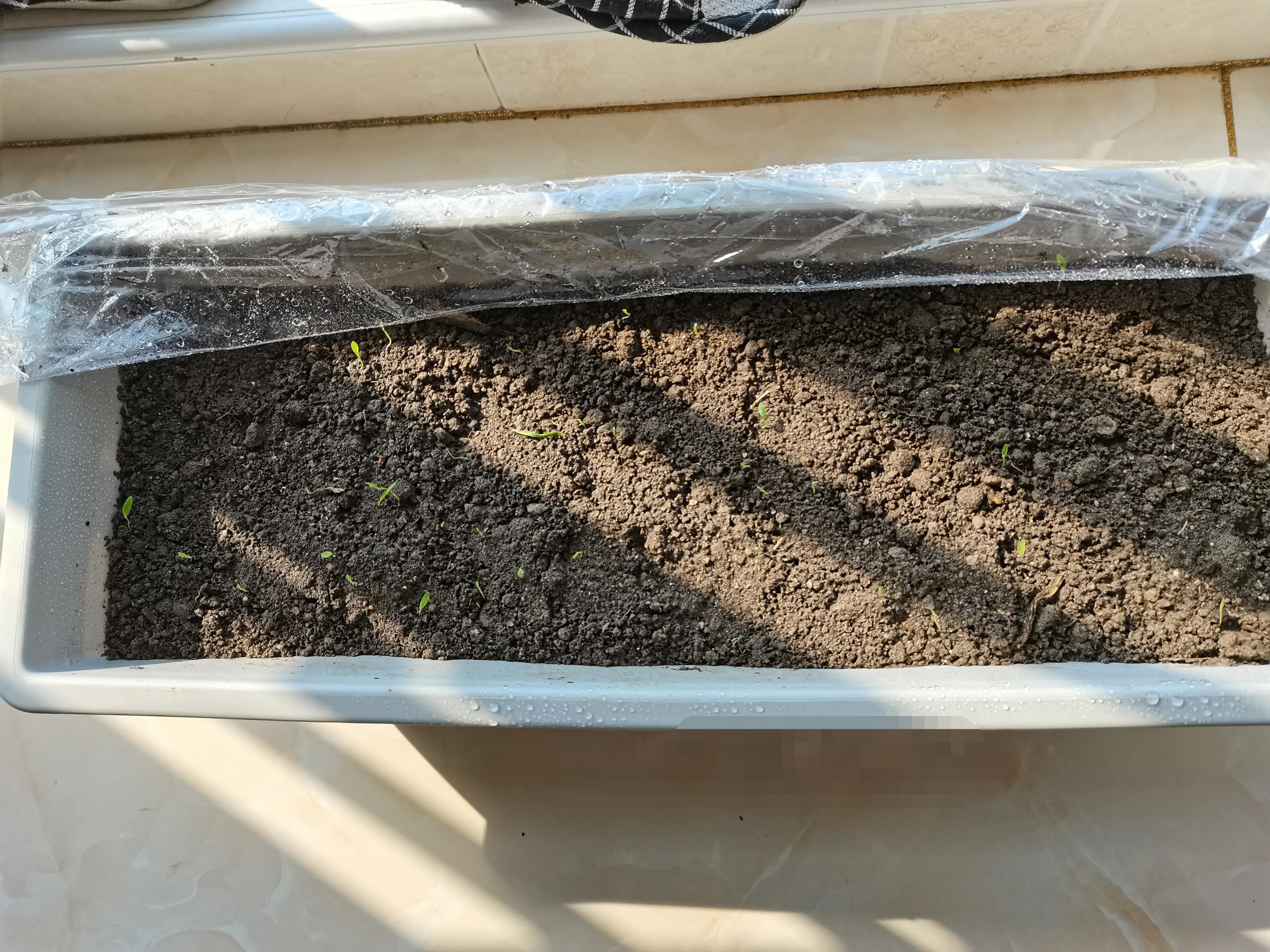 不要放弃农村的宅基地,不要放弃自己的农村宅基地