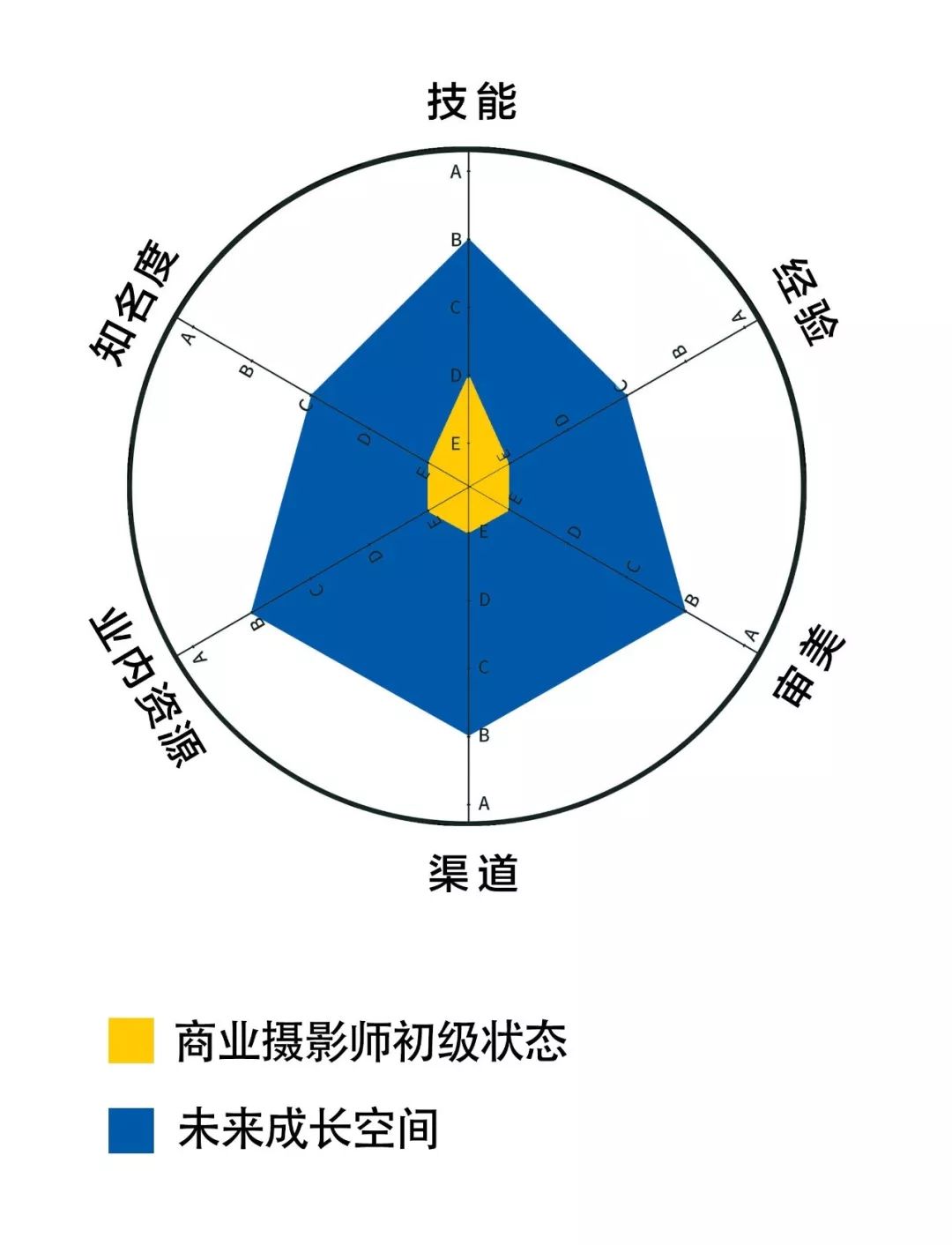 顶级摄影师一年可以赚多少钱,顶级摄影师一年收入几十亿