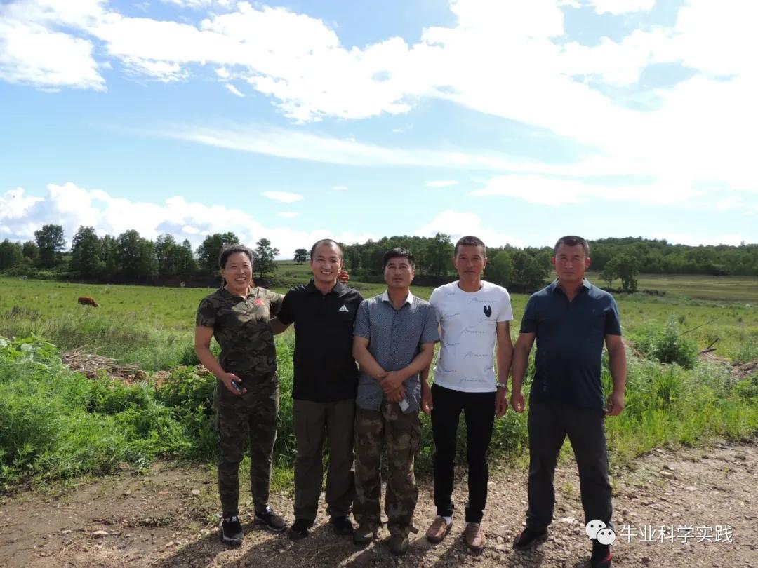 2023肉牛行情分析,2023-2024中国肉牛行情还会下跌吗