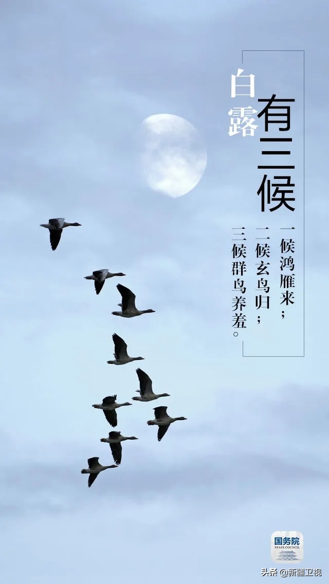 白露|“露凝而白也”，仲秋时节开始了