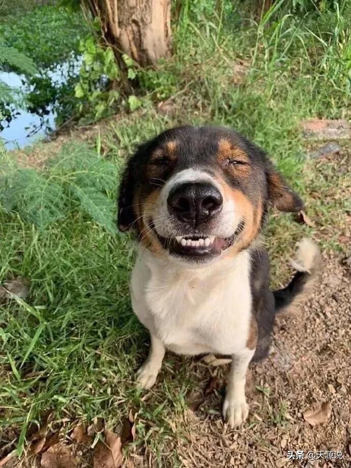 天源说：鉴定之，眼学和微观学……