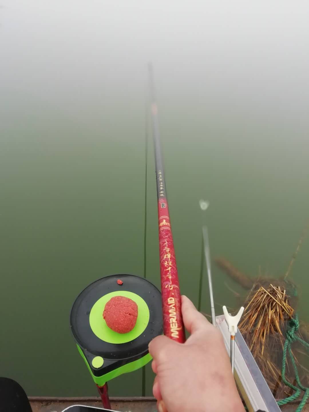 防止小鱼闹窝最有效的4大套路,小鱼闹窝厉害怎么解决