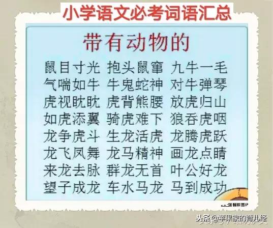 小学生语文分类词语,语文词语分类大汇总