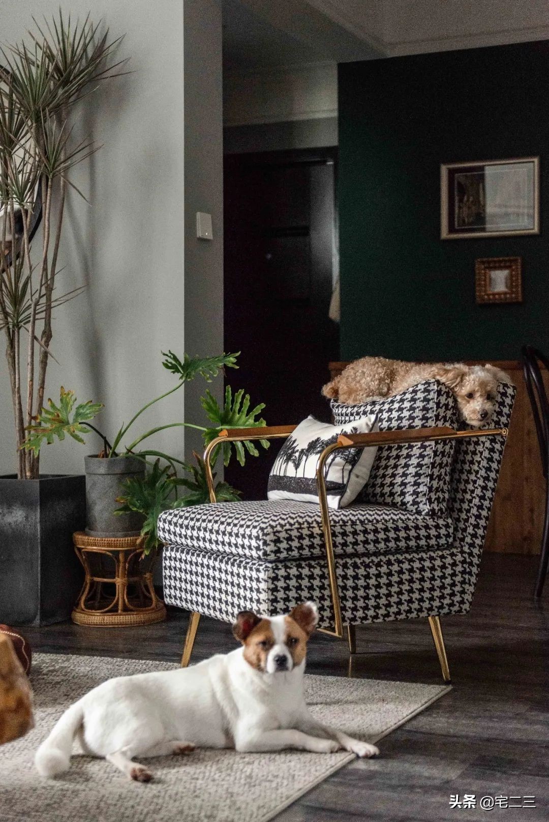 嗜好旧物的90后,用柔软的心构建家中岁月感