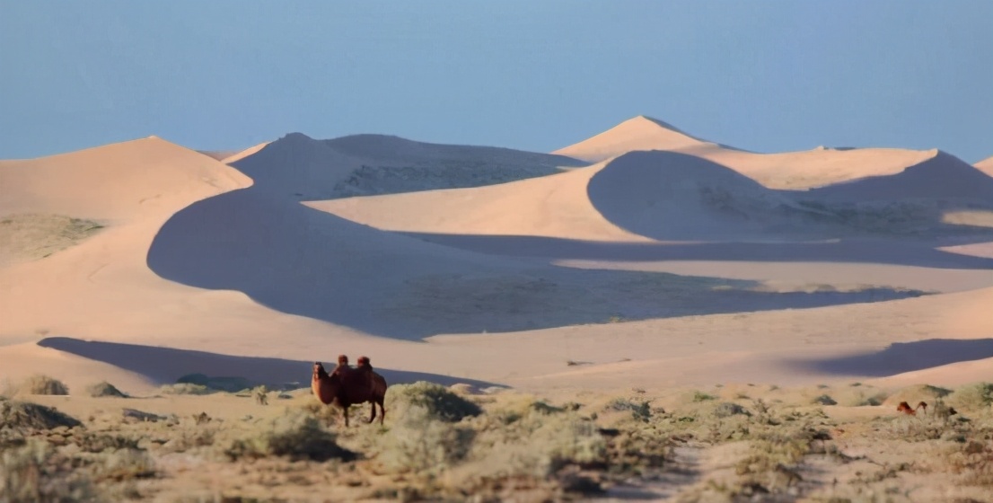 治沙对策和措施,治沙的最好办法