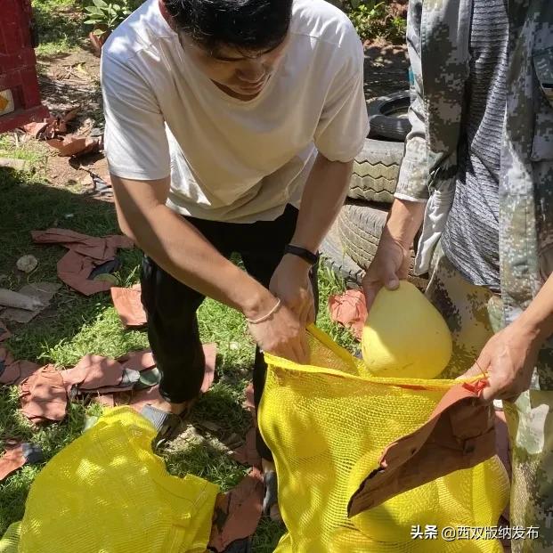 璇辨儜闅炬尅,鍕愪粦鏌氬瓙鍙堝ぇ鍙堢敎