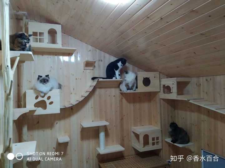 买了高层的人怎么样了,买了顶楼的房子后悔了吗