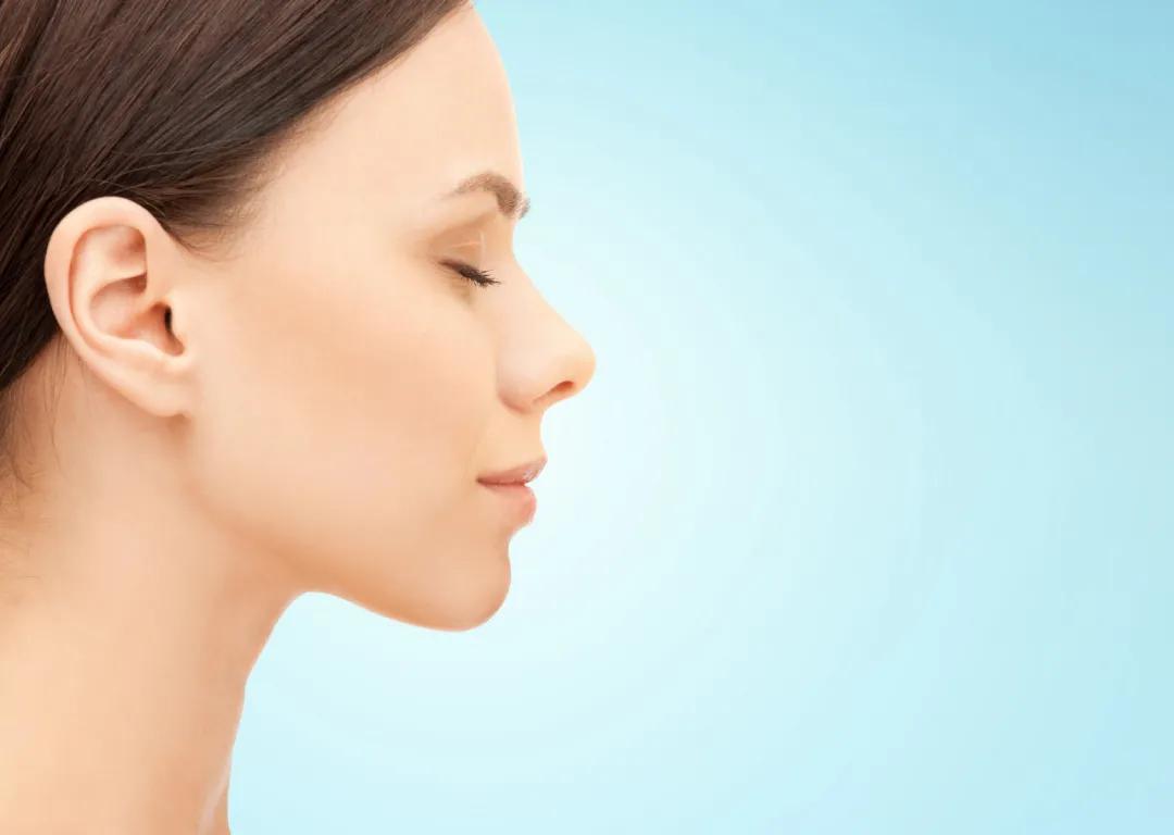 鼻子的颜值,颜值鼻子