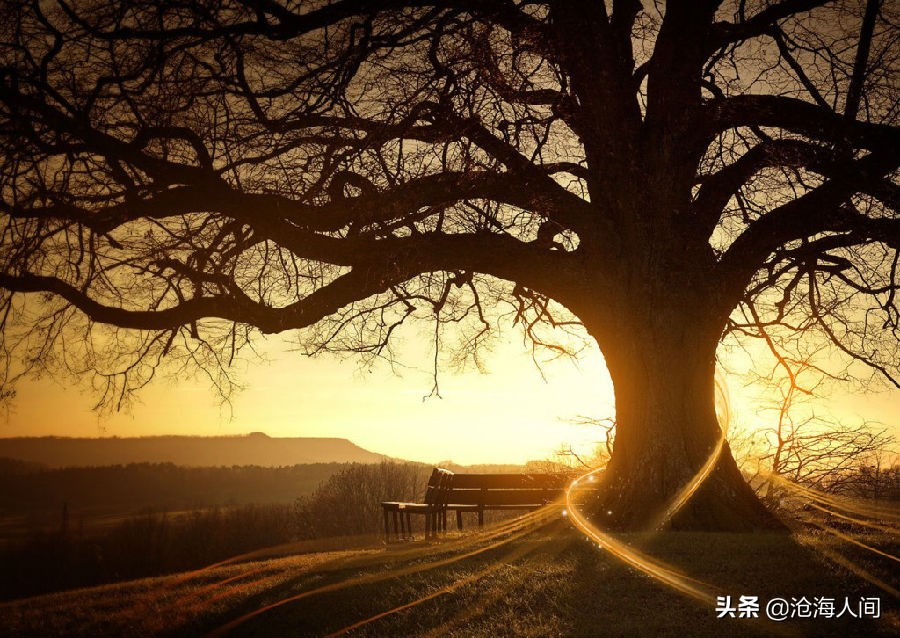 鲍勃迪伦2,鲍勃迪伦的歌欣赏