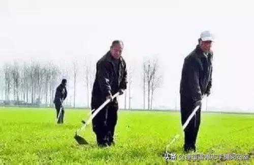 种地顺口溜大全集,种地忙顺口溜