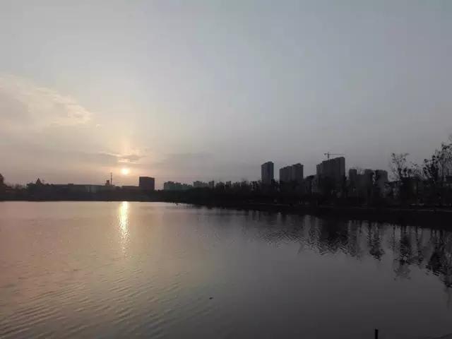 鎶楃柅鏃ヨ鏁ｆ枃,鎶楃柅鑳屽奖浣滄枃