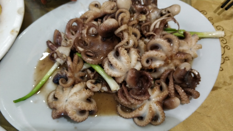 20200906骑行中国第一大火山岛——硇洲岛