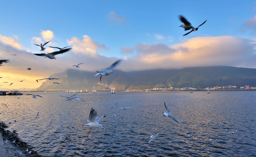 天冷更需要跑步,5天4夜足球冬令营