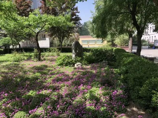 西安市莲湖区第六十七中学,均衡发展学校的校园文化