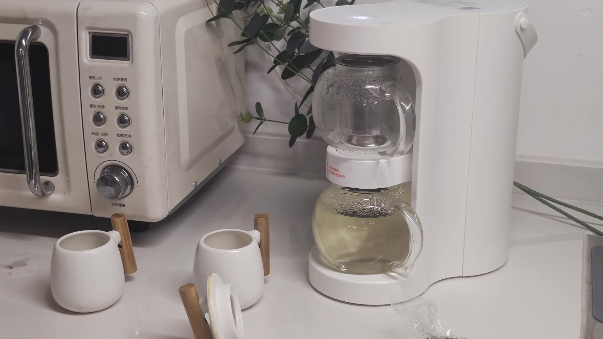 办公室茶艺,最佳茶艺大师