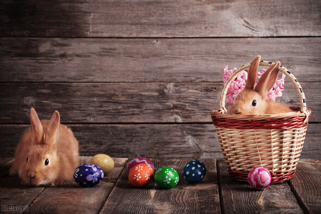 兔子脚上长癣怎么治疗,兔子耳朵长癣了怎么办