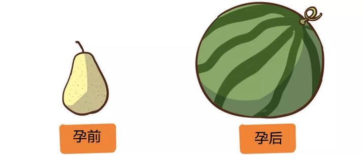 您有一份产后康复计划，请查收！