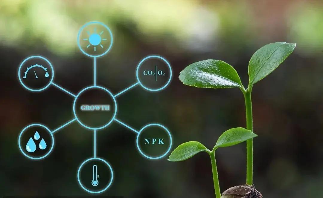 农业b2b,农业b2b行业的发展