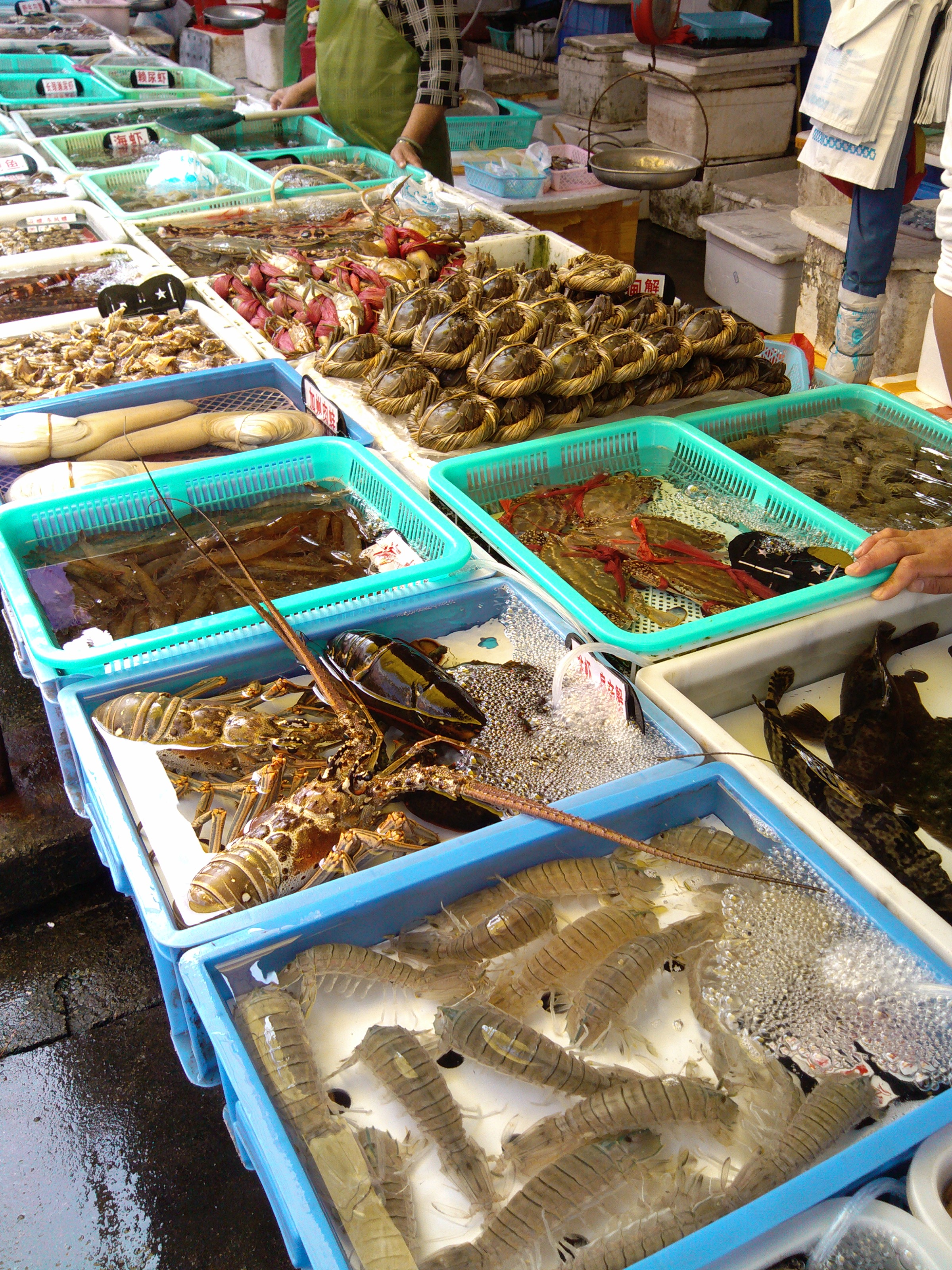 珠海海鲜游,珠海澳门环岛游时间表