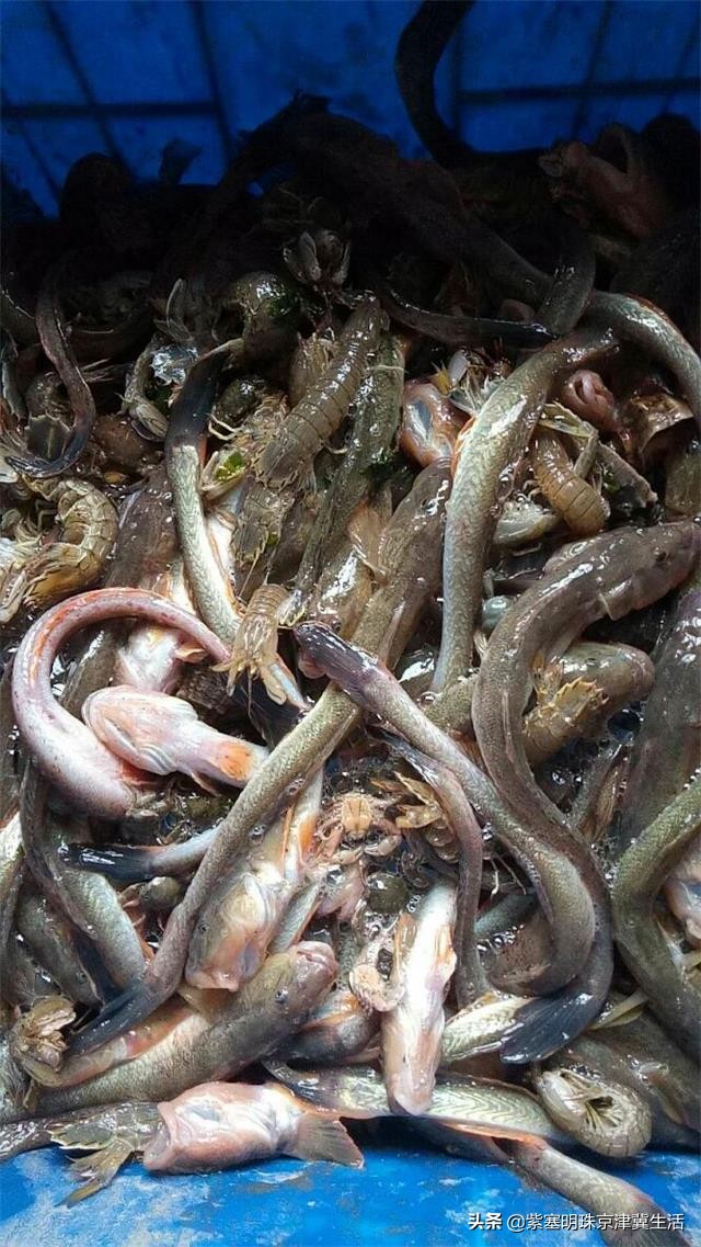 乐亭韩姐农家院价格,天津蓟县乐亭韩姐农家院