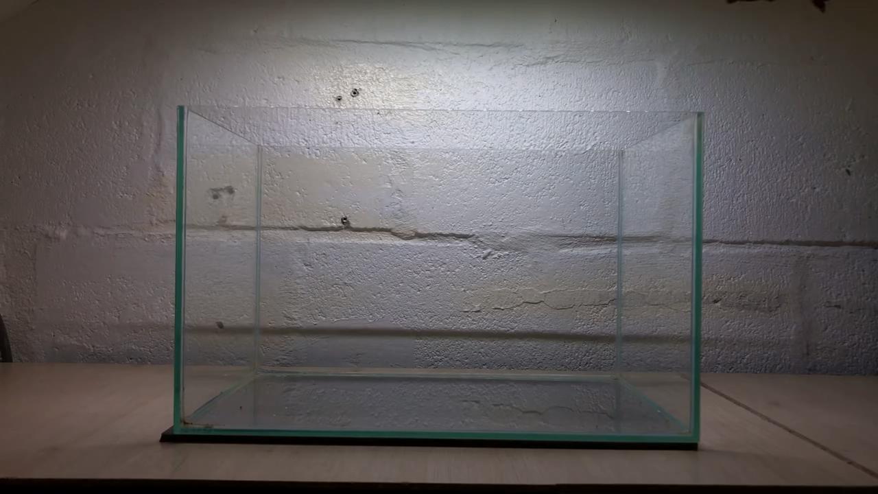 小草缸造景入门水草基本知识,小型草缸造景入门水草基本知识