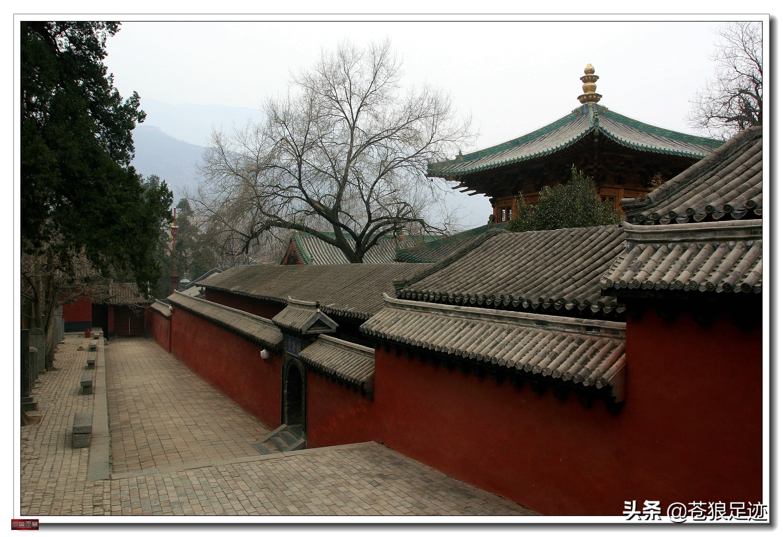 嵩山少林寺禅宗大典,中国禅宗祖庭河南嵩山少林寺