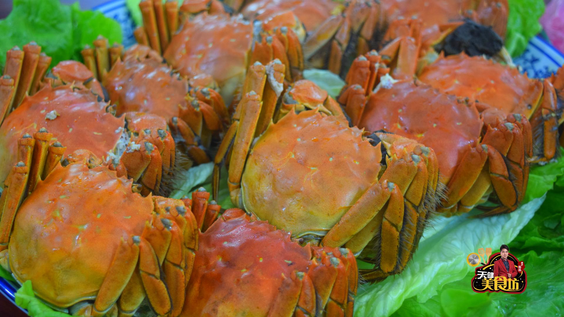 团购1000只大闸蟹试吃,试吃阳澄湖大闸蟹视频