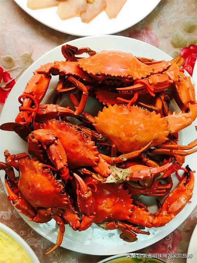 大连獐子岛旅游攻略住宿,獐子岛旅游住宿费用