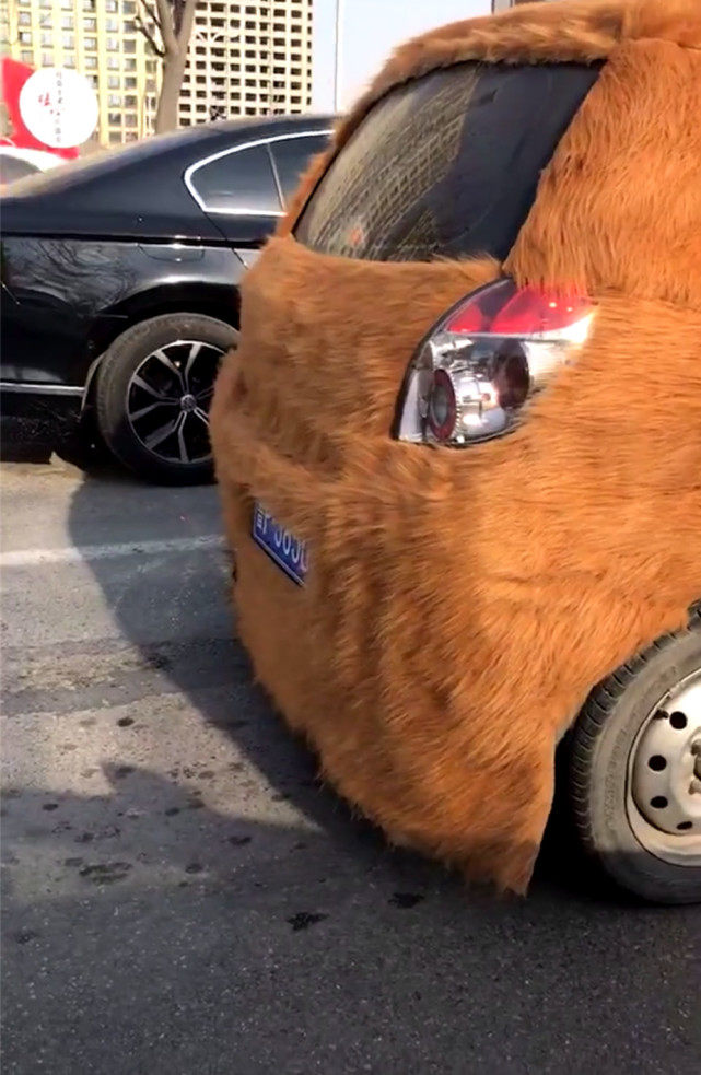 汽车都穿上皮草了，我们还有什么理由不努力？