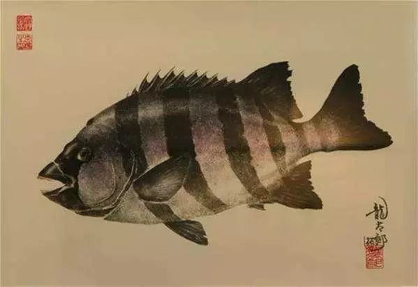 他买了一条草鱼，直接印在画纸上，专家大赞：好画，鱼活了