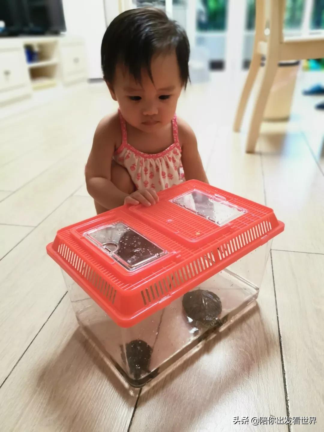 各种育儿宝藏自用好物分享,超好用的育儿好物推荐