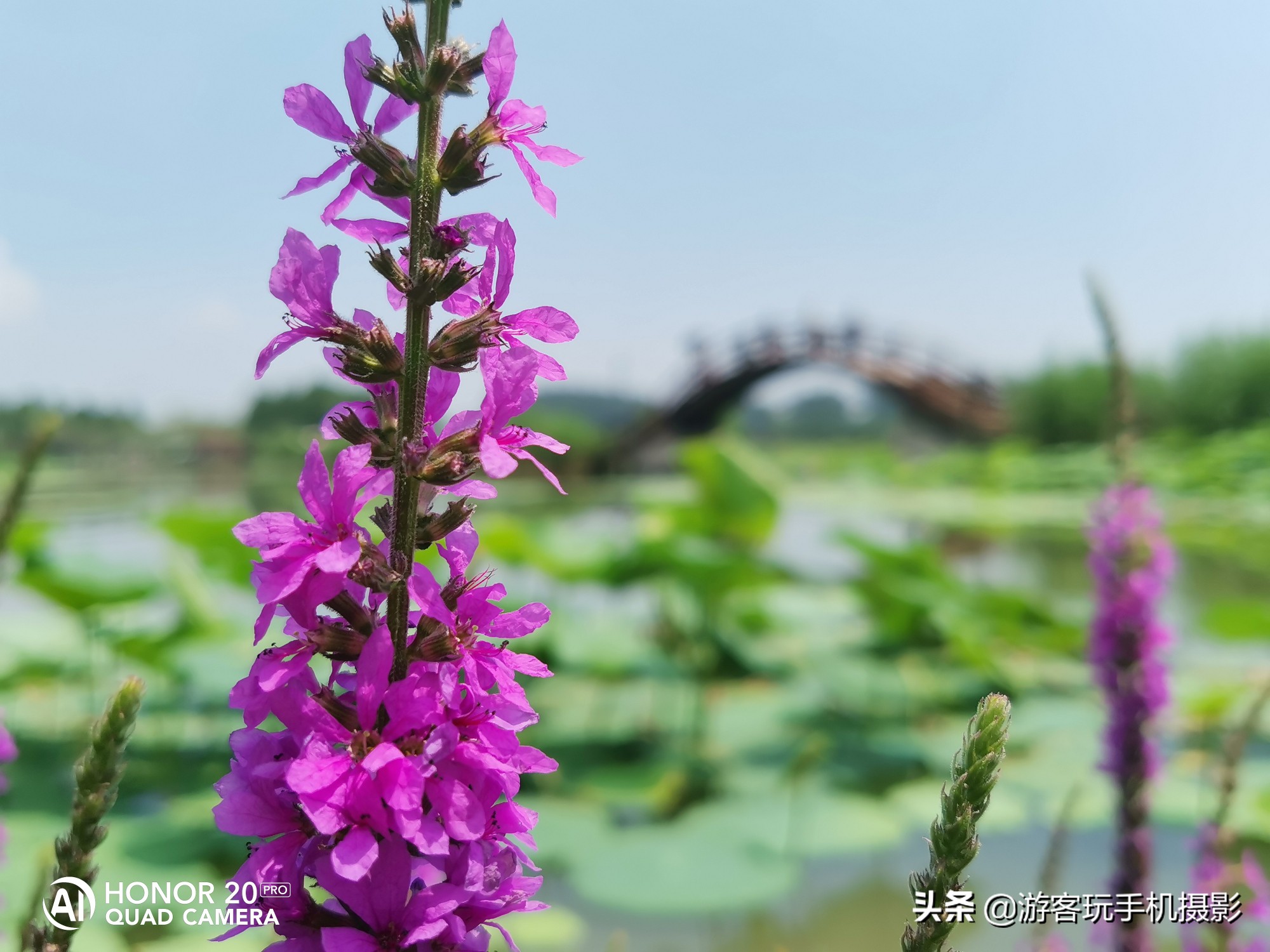 荣耀20Pro拍照效果,用荣耀20pro拍抖音