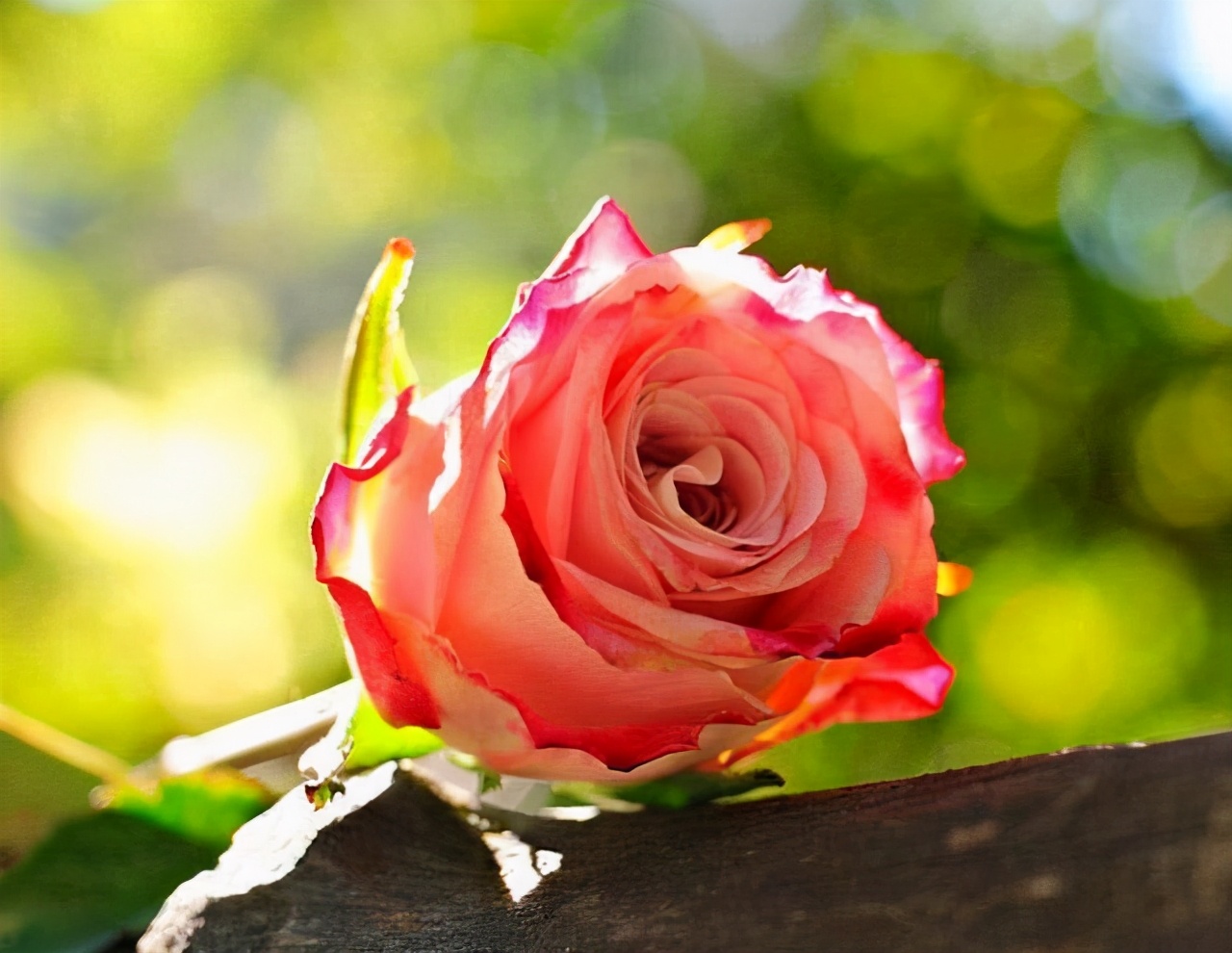 同居过女人心态是怎样的,不要对离过婚的女人有偏见