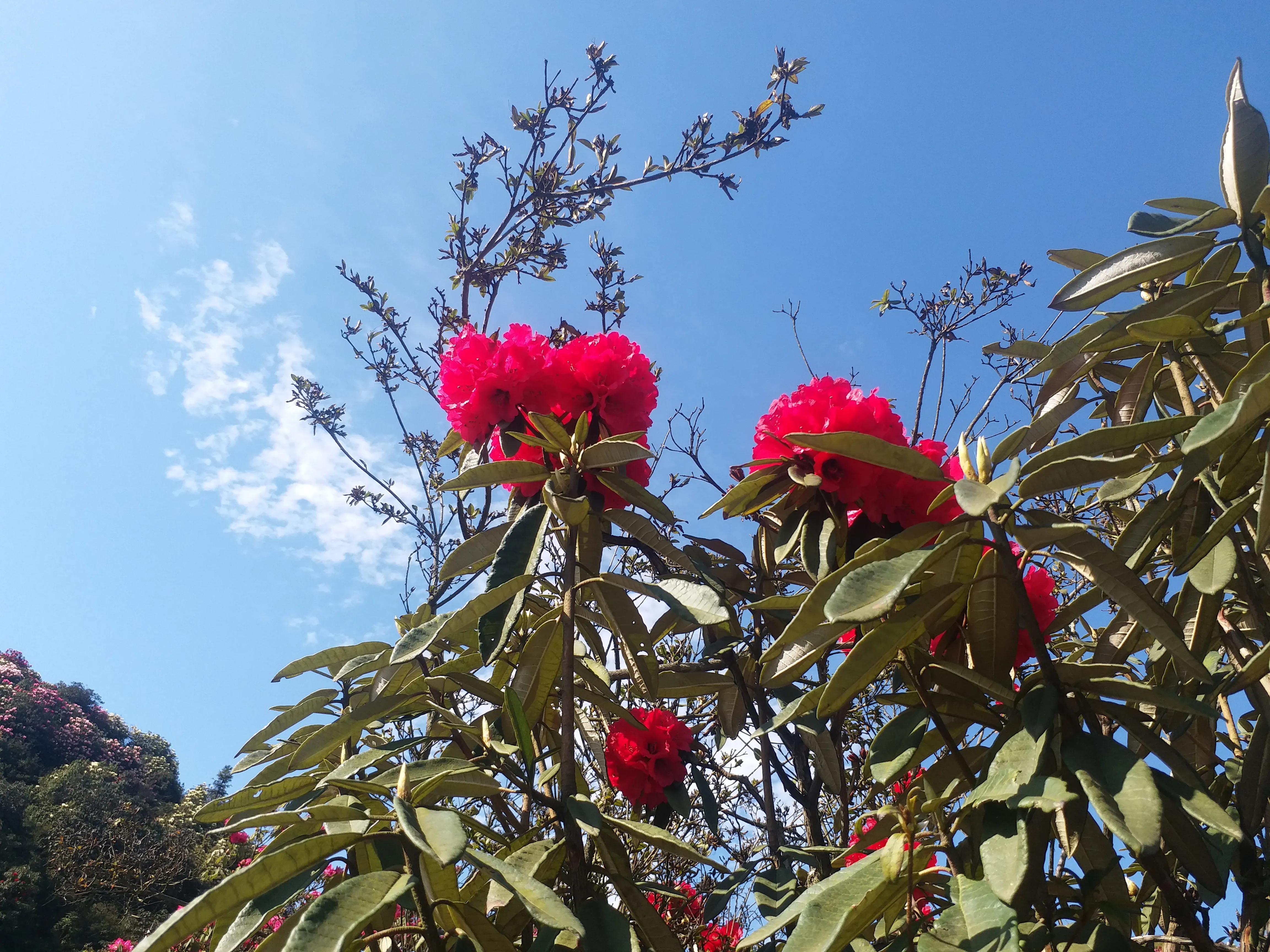 毕节五日游,贵州毕节五日游攻略
