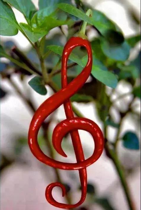 奇花异草图片,奇花异草的赞美句子