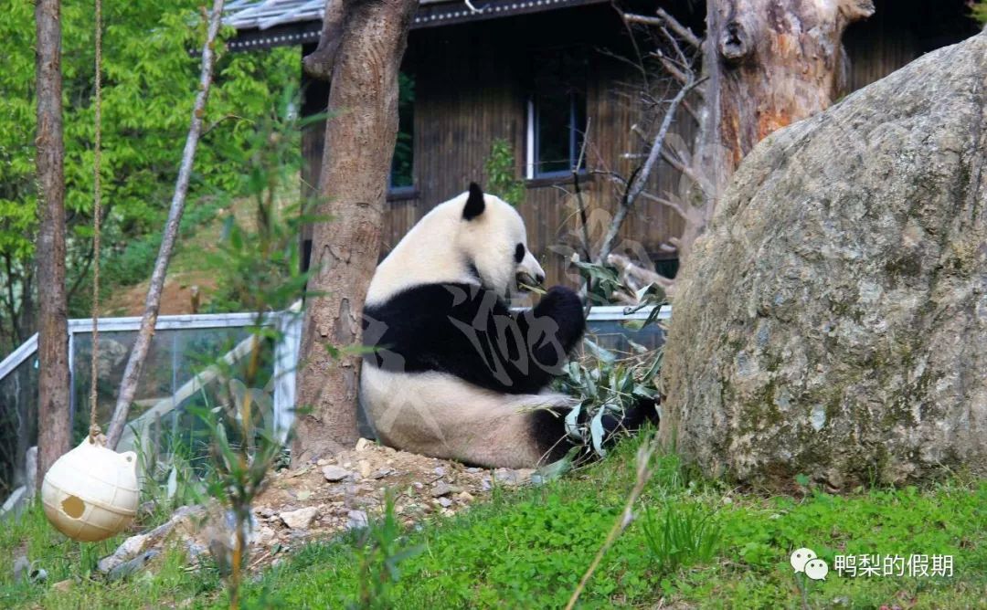 自驾车游遍中国之（一）——世界那么大，我想去神农架